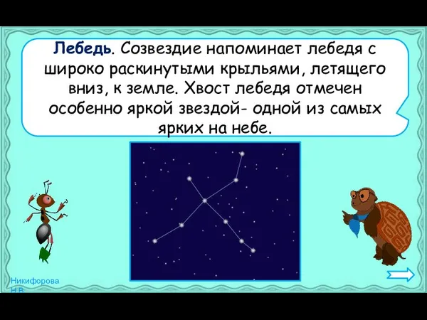 Лебедь. Созвездие напоминает лебедя с широко раскинутыми крыльями, летящего вниз, к