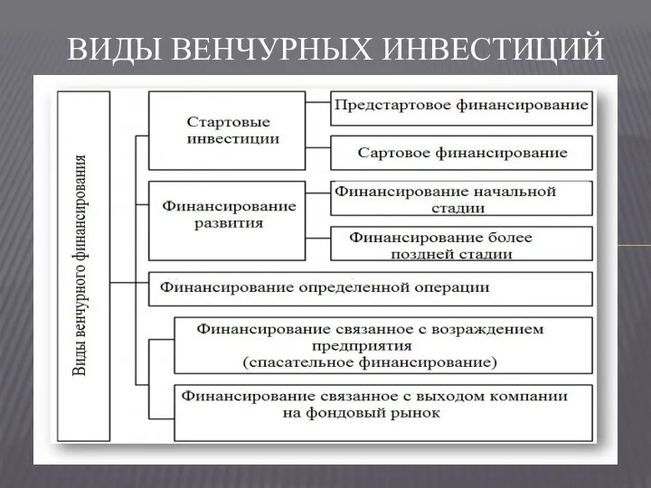 ВИДЫ ВЕНЧУРНЫХ ИНВЕСТИЦИЙ