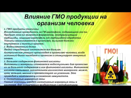 Влияние ГМО продукции на организм человека 1. ГМО продукты токсичны Исследование