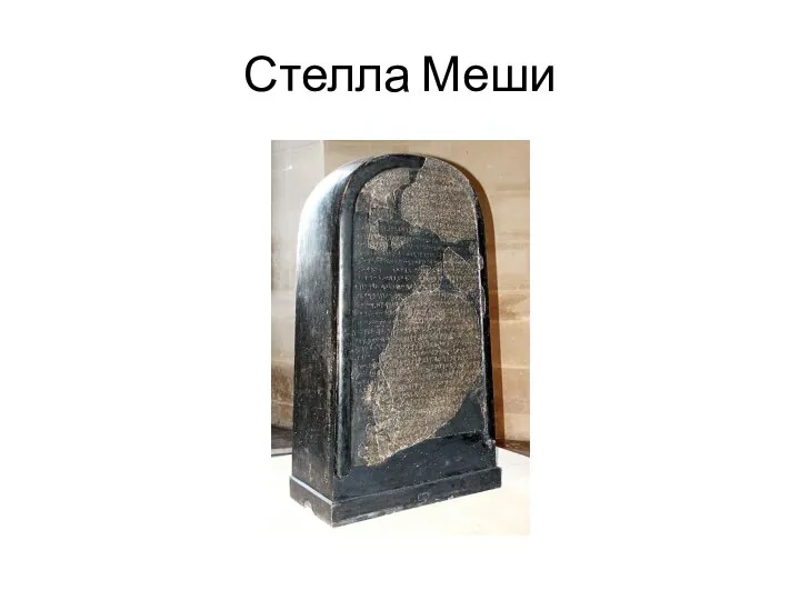 Стелла Меши