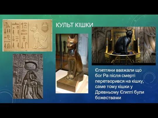 КУЛЬТ КІШКИ Єгиптяни вважали що бог Ра після смерті перетворився на