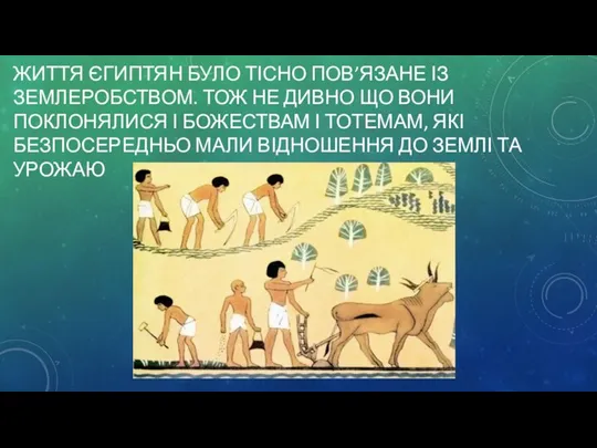 ЖИТТЯ ЄГИПТЯН БУЛО ТІСНО ПОВ’ЯЗАНЕ ІЗ ЗЕМЛЕРОБСТВОМ. ТОЖ НЕ ДИВНО ЩО