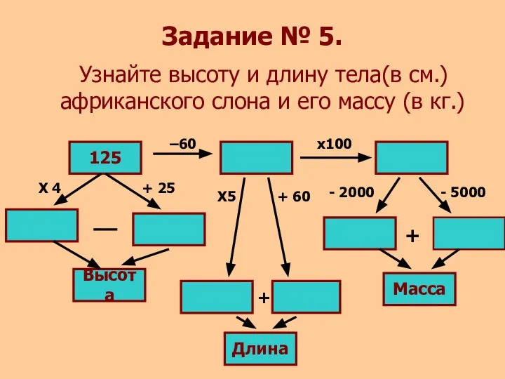 Задание № 5. Узнайте высоту и длину тела(в см.) африканского слона