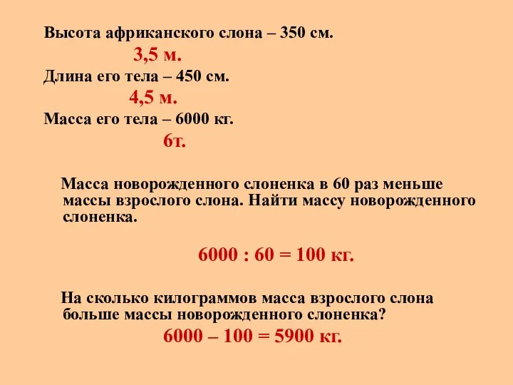 Высота африканского слона – 350 см. 3,5 м. Длина его тела