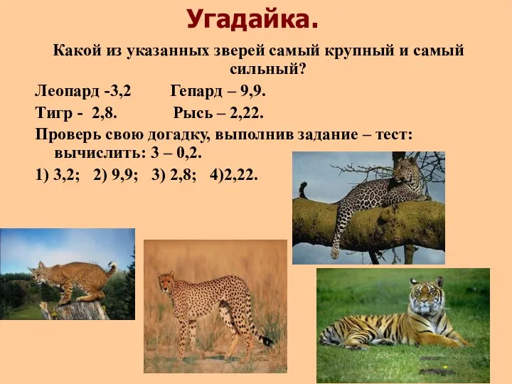 Угадайка. Какой из указанных зверей самый крупный и самый сильный? Леопард