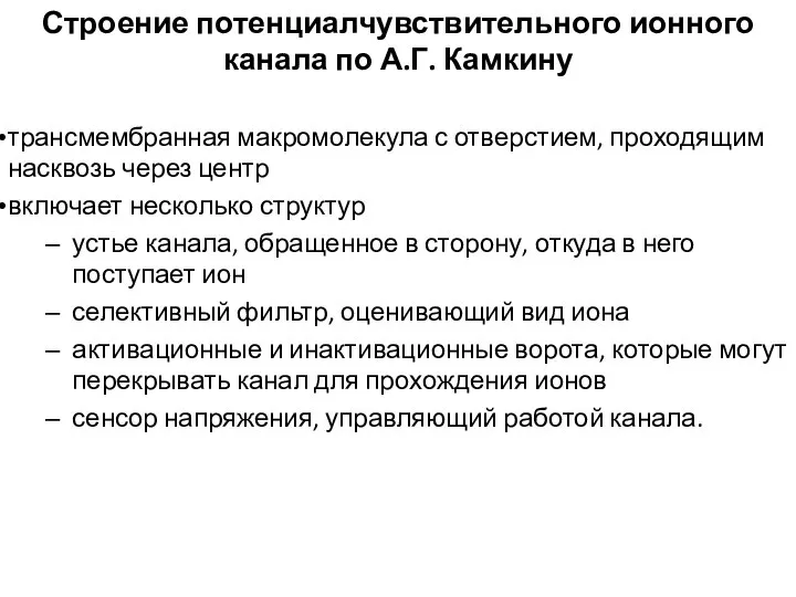 Строение потенциалчувствительного ионного канала по А.Г. Камкину трансмембранная макромолекула с отверстием,