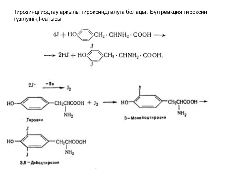 Тирозинді йодтау арқылы тироксинді алуға болады . Бұл реакция тироксин түзілуінің І-сатысы