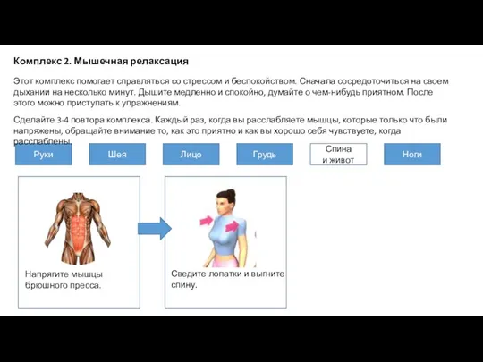 Комплекс 2. Мышечная релаксация Сведите лопатки и выгните спину. Напрягите мышцы