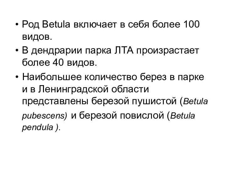 Род Betula включает в себя более 100 видов. В дендрарии парка