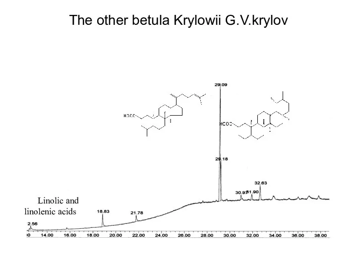 The other betula Krylowii G.V.krylov Linolic and linolenic acids