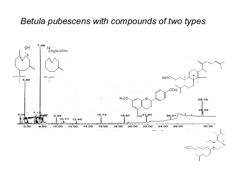 Betula pubescens with compounds of two types