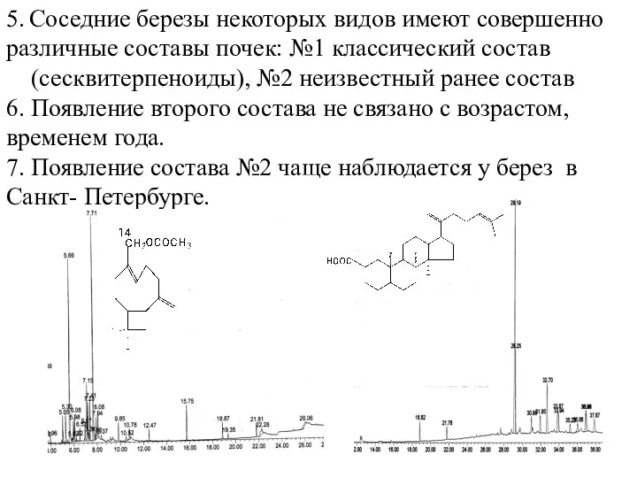 5. Соседние березы некоторых видов имеют совершенно различные составы почек: №1