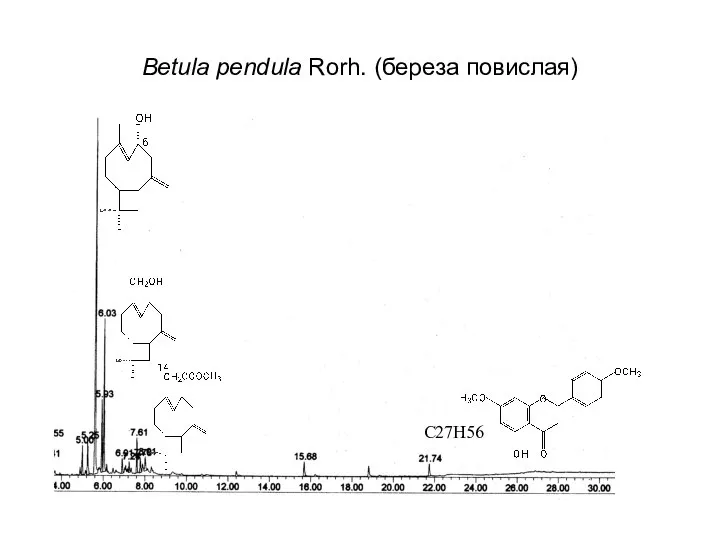 Betula pendula Rorh. (береза повислая) С27Н56