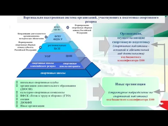 Вертикально выстроенная система организаций, участвующих в подготовке спортивного резерва Организации, осуществляющие