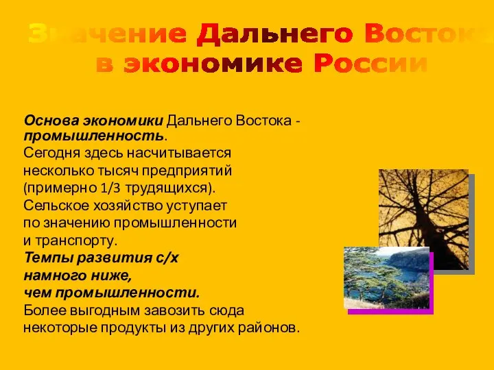 Основа экономики Дальнего Востока - промышленность. Сегодня здесь насчитывается несколько тысяч