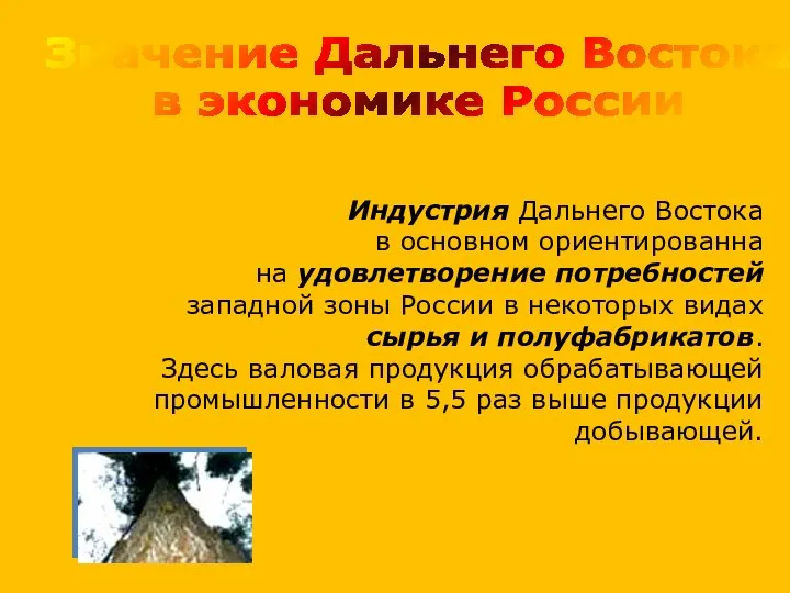 Индустрия Дальнего Востока в основном ориентированна на удовлетворение потребностей западной зоны