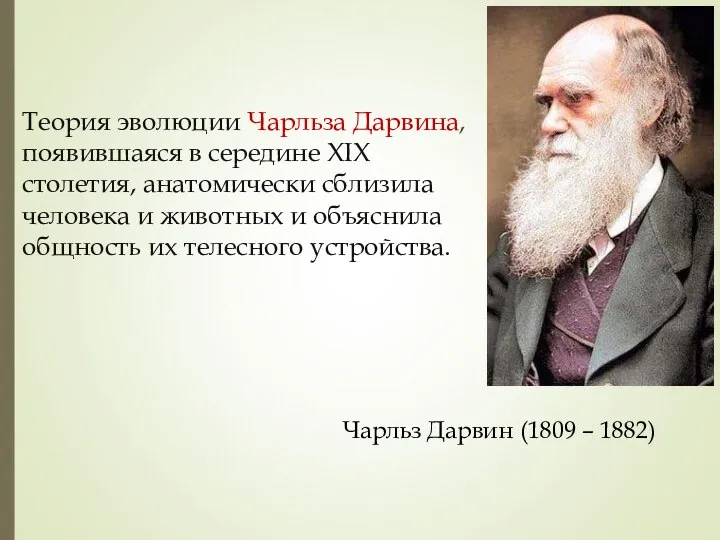 Теория эволюции Чарльза Дарвина, появившаяся в середине XIX столетия, анатомически сблизила