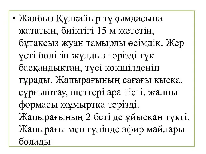 Жалбыз Құлқайыр тұқымдасына жататын, биіктігі 15 м жететін, бұтақсыз жуан тамырлы