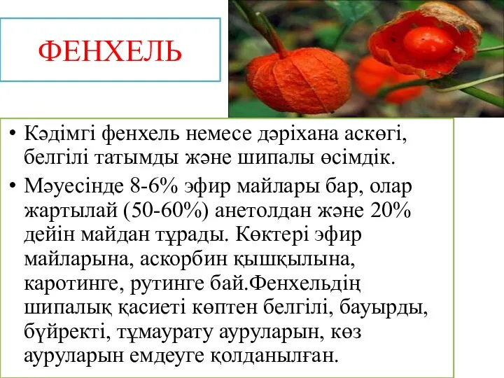 ФЕНХЕЛЬ Кәдімгі фенхель немесе дәріхана аскөгі, белгілі татымды және шипалы өсімдік.