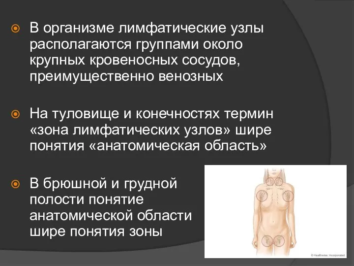 В организме лимфатические узлы располагаются группами около крупных кровеносных сосудов, преимущественно