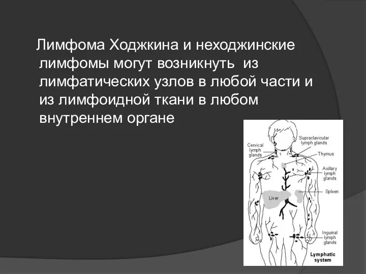 Лимфома Ходжкина и неходжинские лимфомы могут возникнуть из лимфатических узлов в