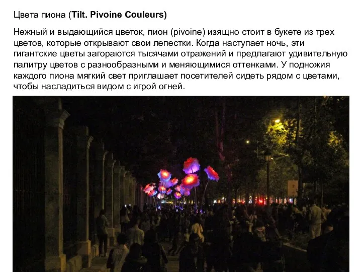 Цвета пиона (Tilt. Pivoine Couleurs) Нежный и выдающийся цветок, пион (pivoine)