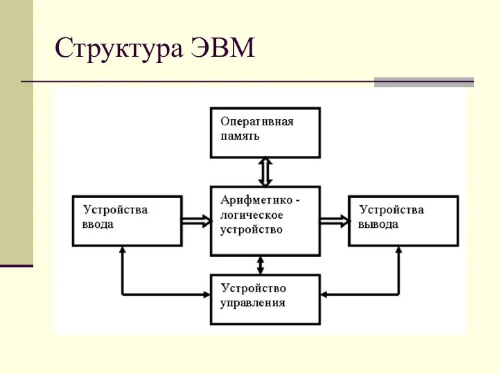 Структура ЭВМ