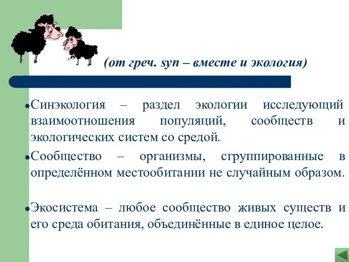 Синэкология – раздел экологии исследующий взаимоотношения популяций, сообществ и экологических систем