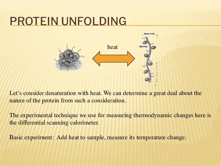 PROTEIN UNFOLDING Let’s consider denaturation with heat. We can determine a