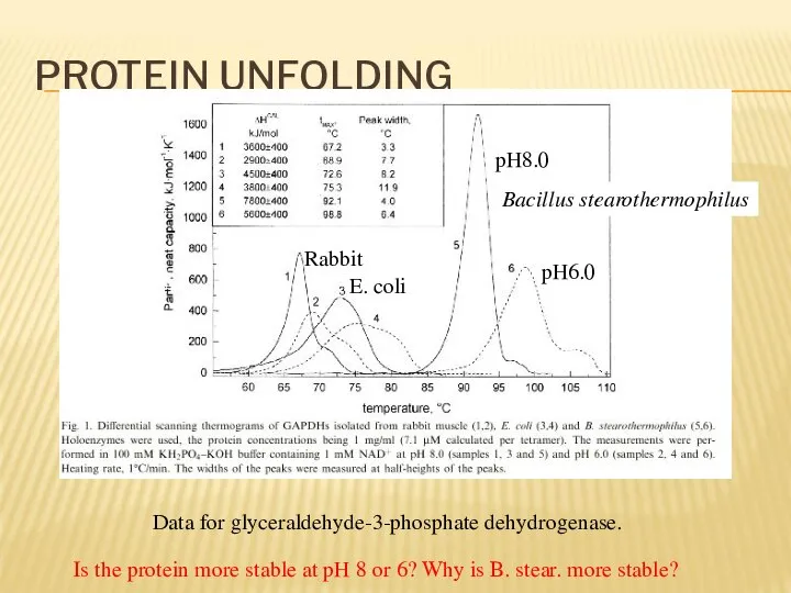 PROTEIN UNFOLDING Data for glyceraldehyde-3-phosphate dehydrogenase. pH8.0 pH6.0 Bacillus stearothermophilus E.