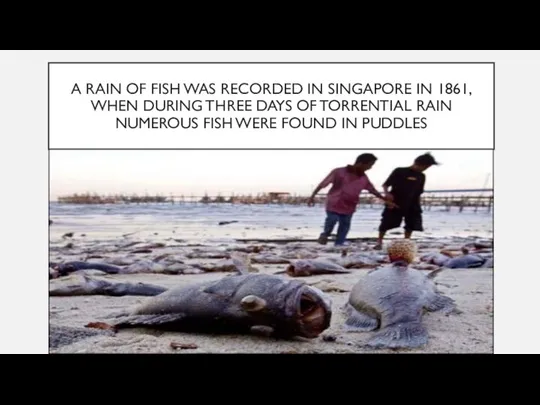 A RAIN OF FISH WAS RECORDED IN SINGAPORE IN 1861, WHEN