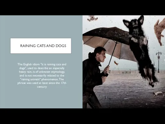 RAINING CATS AND DOGS The English idiom "it is raining cats