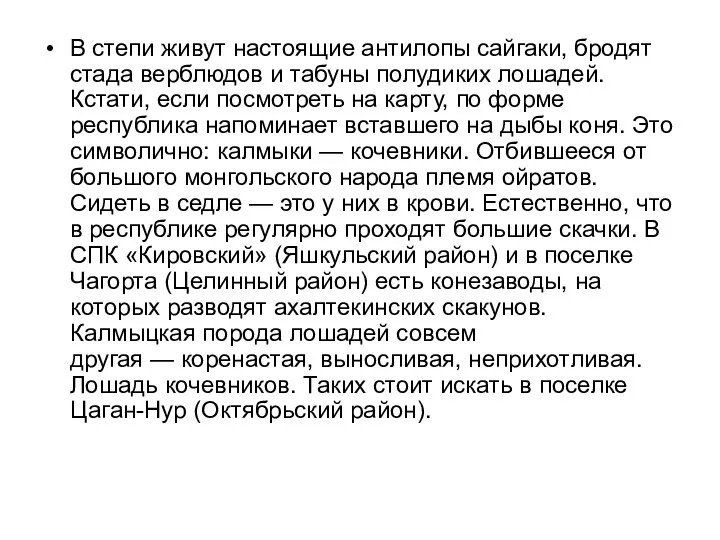 В степи живут настоящие антилопы сайгаки, бродят стада верблюдов и табуны