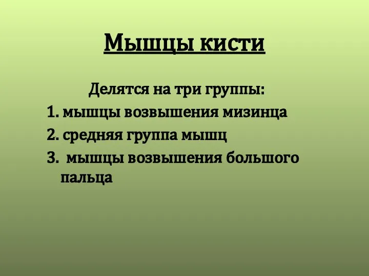 Мышцы кисти Делятся на три группы: 1. мышцы возвышения мизинца 2.