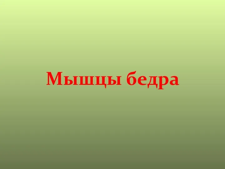 Мышцы бедра