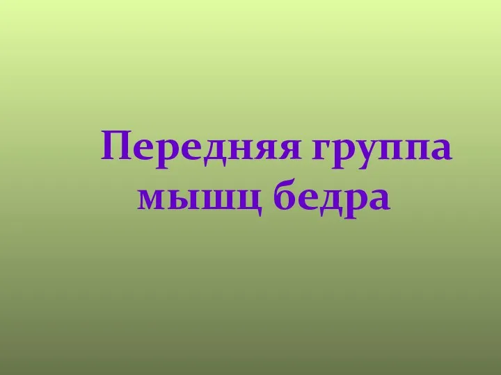 Передняя группа мышц бедра