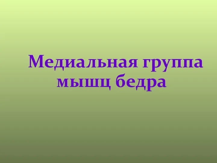 Медиальная группа мышц бедра