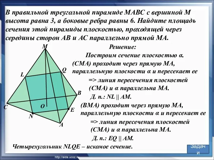 N В правильной треугольной пирамиде МАВС с вершиной М высота равна