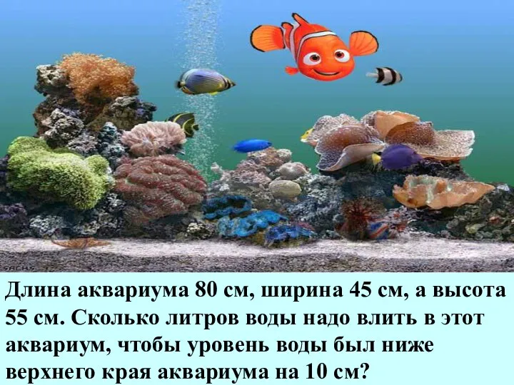 Длина аквариума 80 см, ширина 45 см, а высота 55 см.