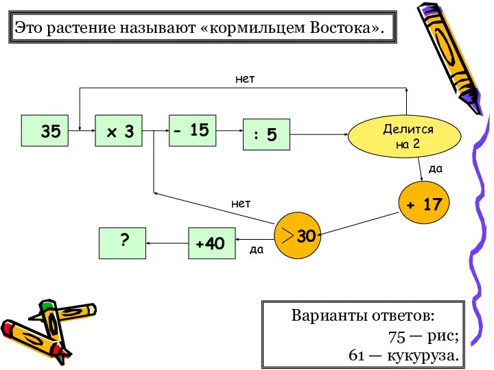 Это растение называют «кормильцем Востока». Варианты ответов: 75 — рис; 61