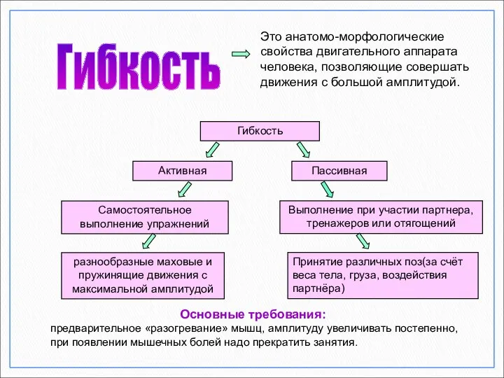 Гибкость Это анатомо-морфологические свойства двигательного аппарата человека, позволяющие совершать движения с