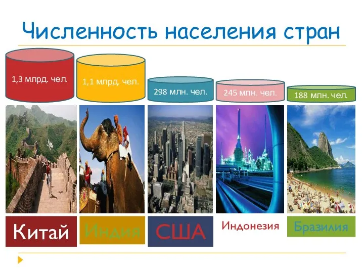Численность населения стран Китай Индия США Индонезия Бразилия 1,3 млрд. чел.