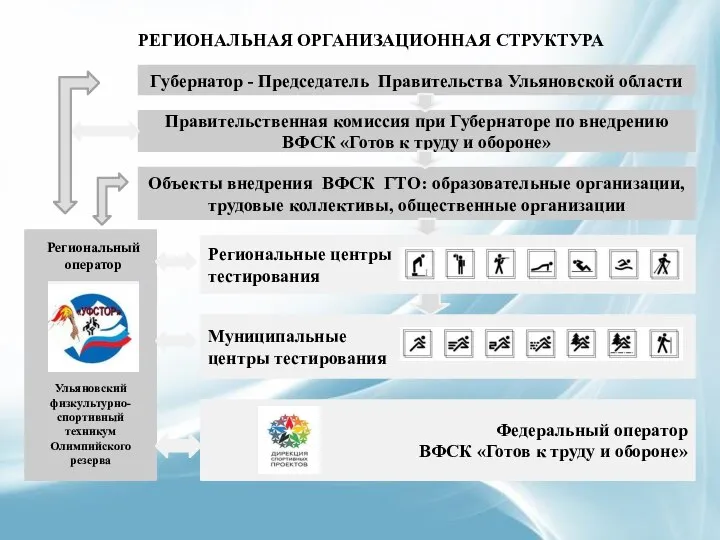 РЕГИОНАЛЬНАЯ ОРГАНИЗАЦИОННАЯ СТРУКТУРА Губернатор - Председатель Правительства Ульяновской области Правительственная комиссия