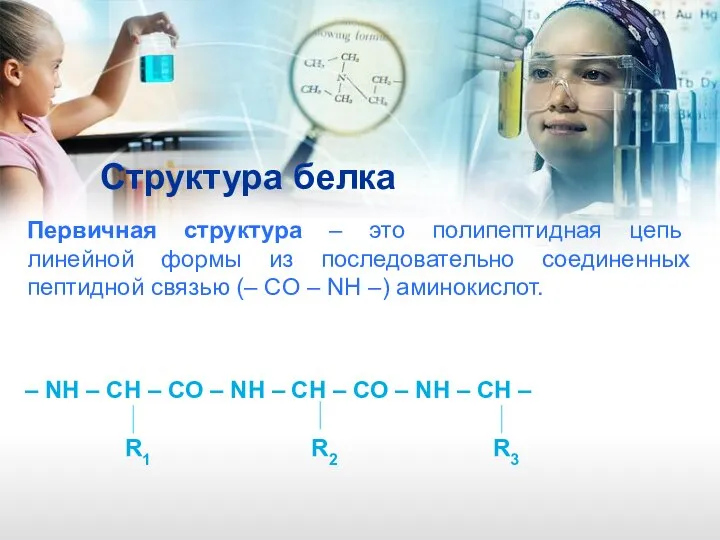 Структура белка Первичная структура – это полипептидная цепь линейной формы из