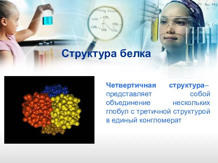 Структура белка Четвертичная структура– представляет собой объединение нескольких глобул с третичной структурой в единый конгломерат