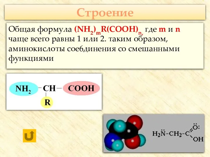 Строение Общая формула (NH2)mR(COOH)n, где m и n чаще всего равны