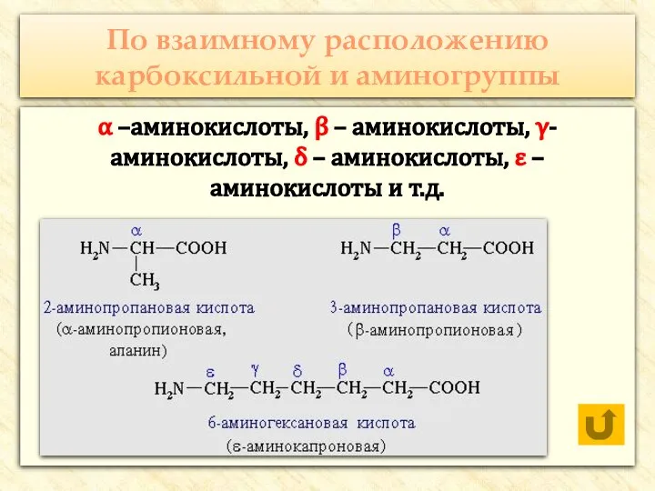 По взаимному расположению карбоксильной и аминогруппы α –аминокислоты, β – аминокислоты,