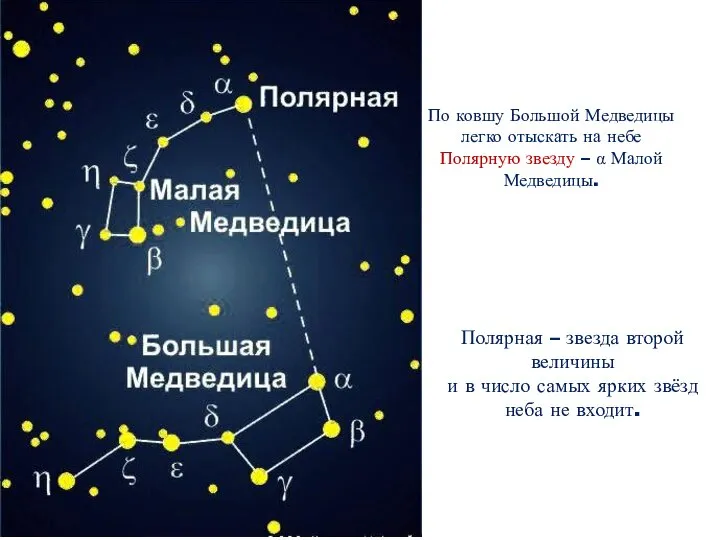 По ковшу Большой Медведицы легко отыскать на небе Полярную звезду –