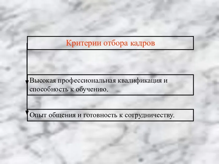 Критерии отбора кадров Высокая профессиональная квалификация и способность к обучению. Опыт общения и готовность к сотрудничеству.