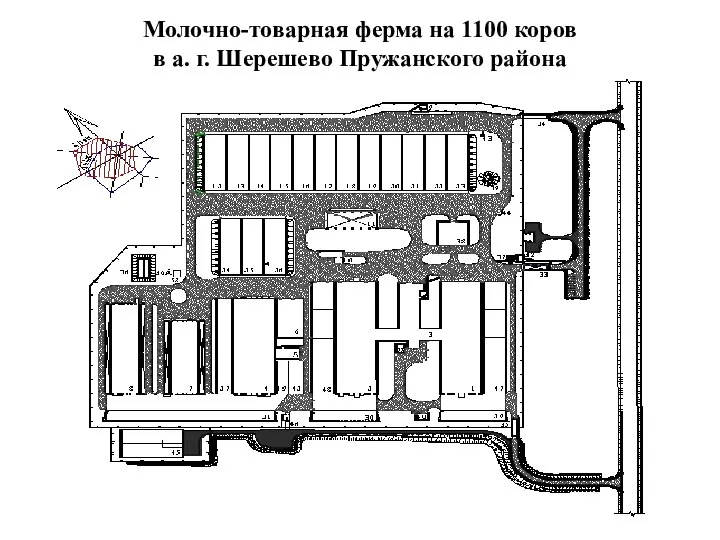 Молочно-товарная ферма на 1100 коров в а. г. Шерешево Пружанского района